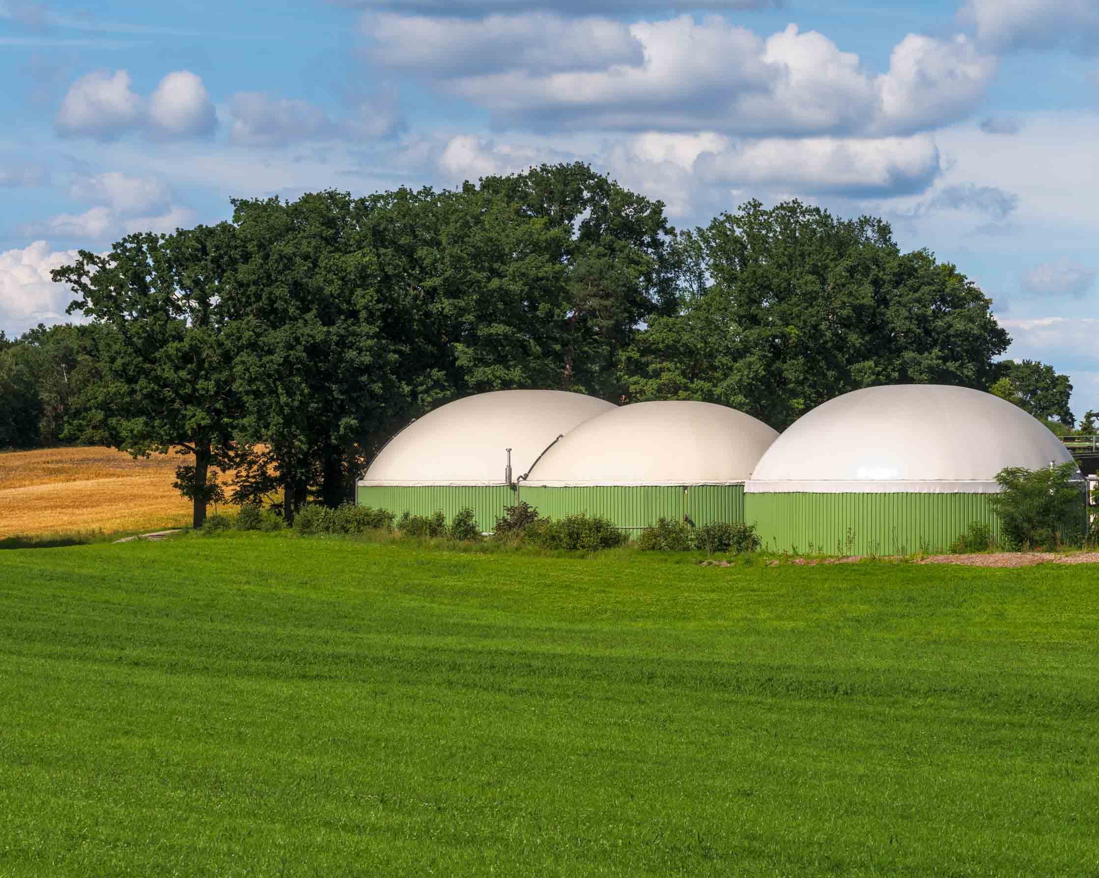 Biogas