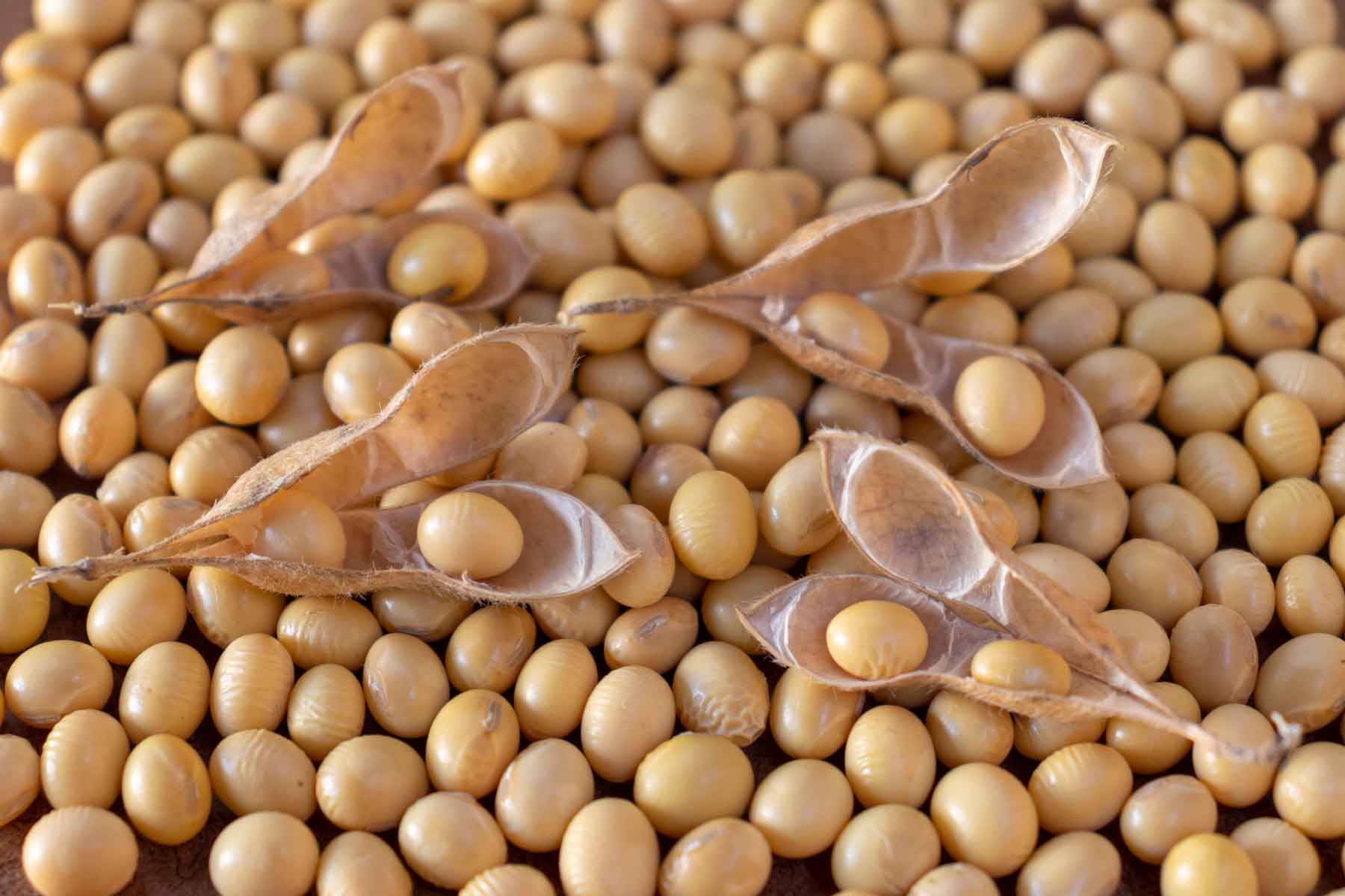 Soybeans